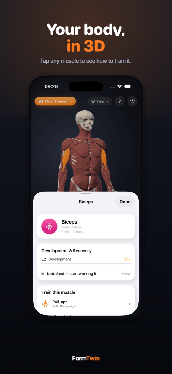FormTwin on iPhone showing the interactive 3D muscle model with the biceps highlighted and a muscle detail card explaining how to train it